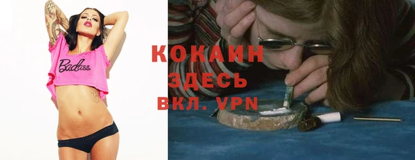 дживик Осинники