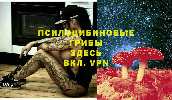 дживик Осинники