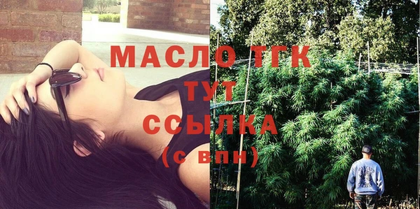 дживик Осинники