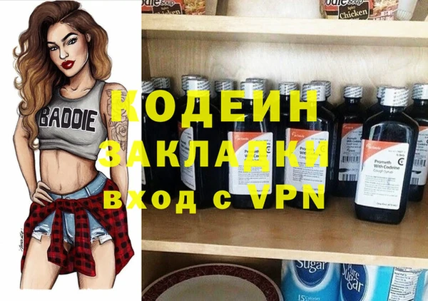 дживик Осинники