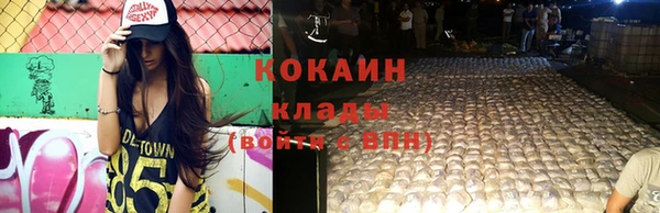 дживик Осинники