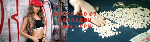 дживик Осинники