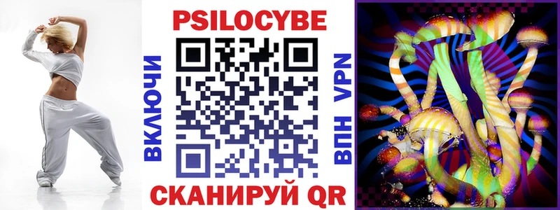 Галлюциногенные грибы Psilocybine cubensis  купить наркотики цена  Почеп 